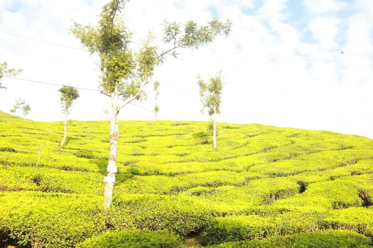 Casa Montana Munnar Hotel