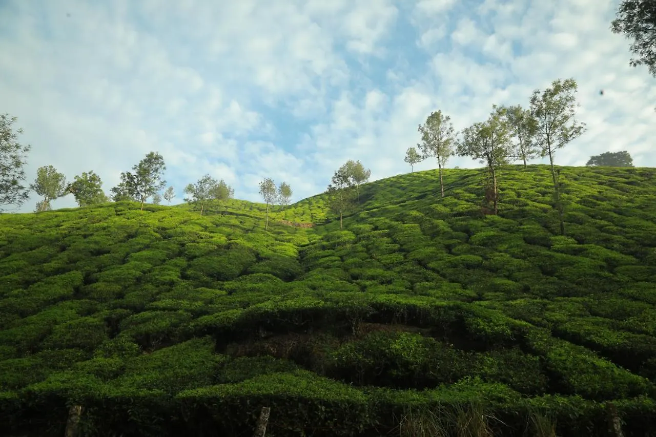 ****  Hotel Casa Montana Munnar India